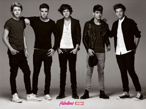 The five members of One Direction, Niall Horan, Liam Payne, Harry Styles, Zayn Malik and Louis Tomlinson.