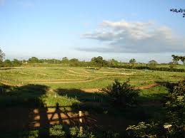 This is what a track looks like before the gate drops. Photo courtesy of www.geograph.org.uk.