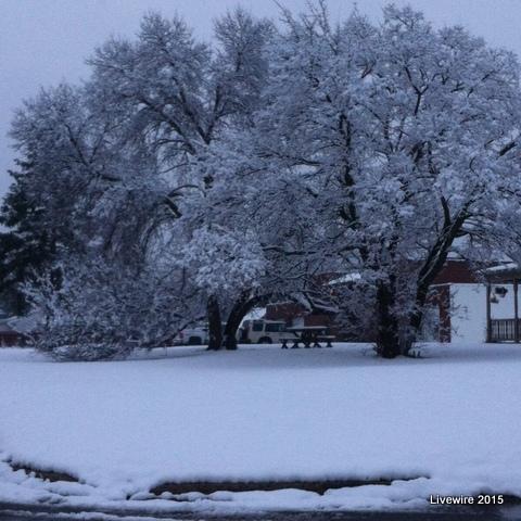 Weather creates consequences for school, sports