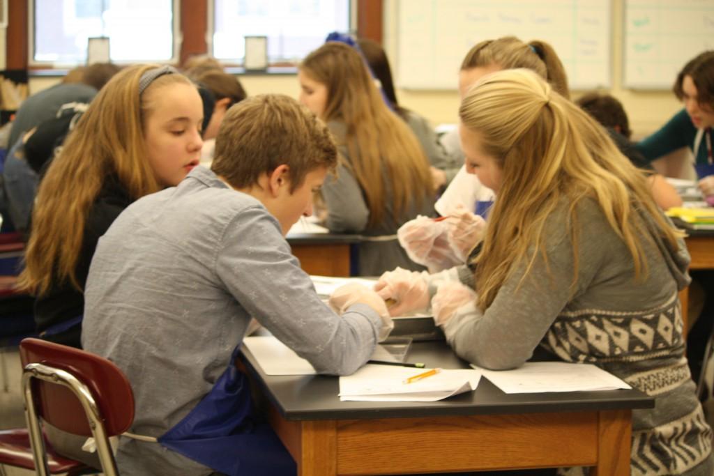 As seventh and eighth graders are scheduling for next year, be sure to take a look and the Human Systems and Disease elective. Human Systems and Disease  is a two marking  period elective in which you learn about the functions of the human body and have some hand-on labs!