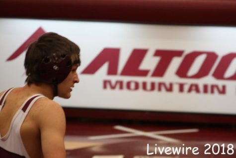 Wrestling team achieves victory