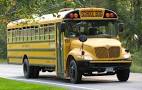 School transportation should be provided to all students. 