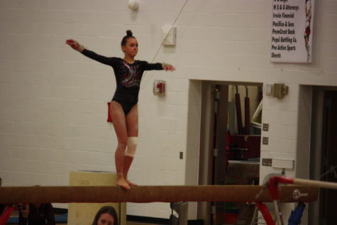 Gymnastics season comes to end
