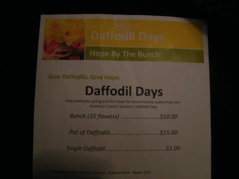 Daffodils sales help American Cancer Society