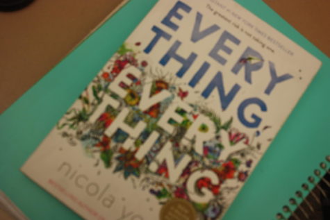 Add Everything, Everything to reading lists