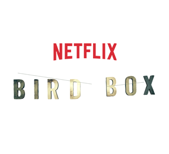 The book Bird Box becomes Netflix original