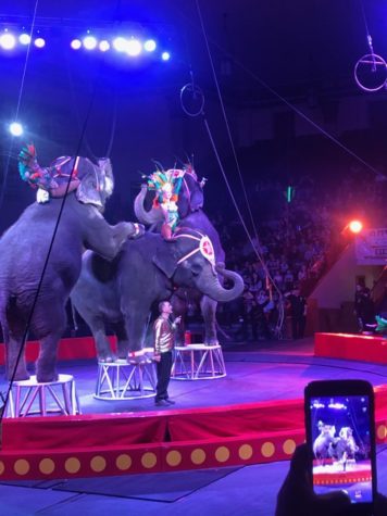 Jaffa Shrine hosts yearly circus