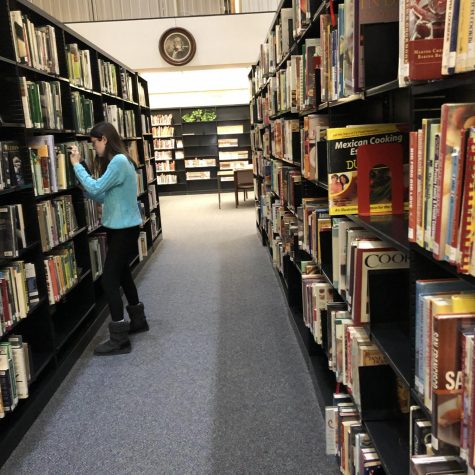 Stack it up!
National Junior Honor Society member Vanessa Roman organizes shelves of books for volunteer hours at the Altoona Area Library. She was working to complete the 20 hours of community service required for ninth grade students in NJHS.