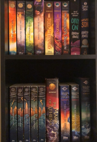 Some books! There are eight books on the shelf just waiting to be read. There are many different books that are out there to read. The Harry Potter is on series available for free online during the coronavirus.
