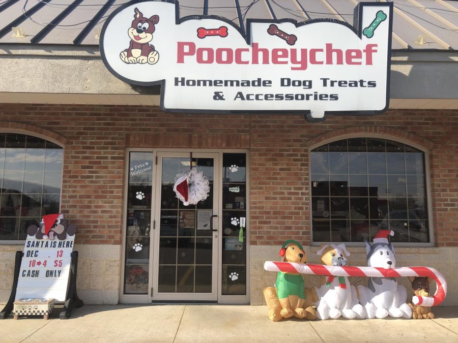 Poochey Chef, a local, small, pet business located in Ducansville, PA, provides the animal community with many tasty treats and so much more!