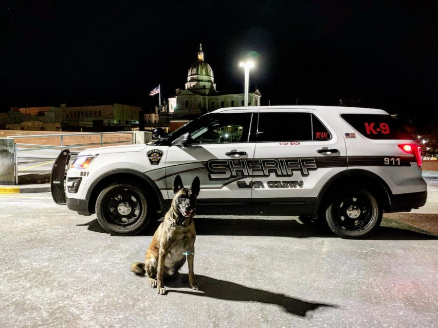 On patrol! K-9 Rik relaxes during his shift posing by his new police ride on a crisp night. Corporal Bennett received the public vehicle through helpful donations.