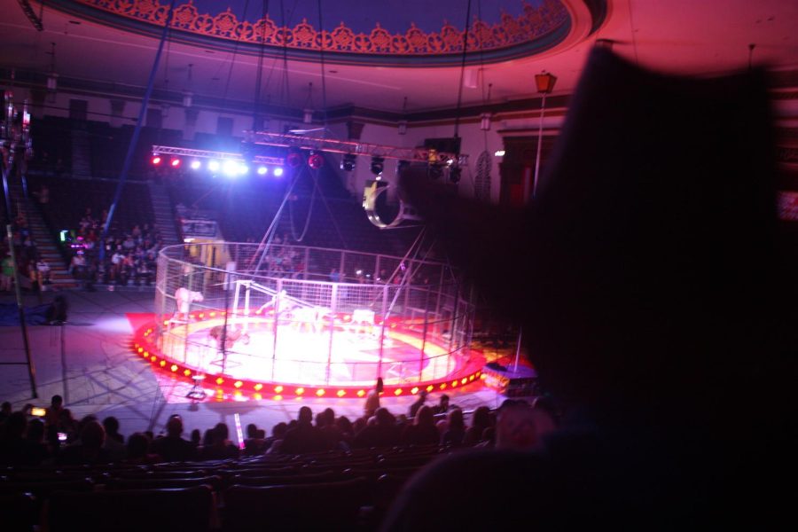 Its that time of the year! The Jaffa Shrine Circus is back in town.