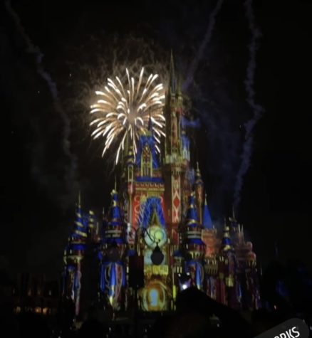 The pretty fireworks make everything come alive in Disney World. 