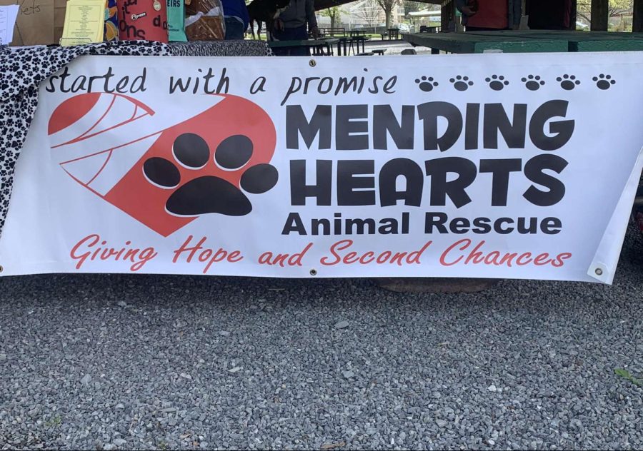 Welcome! Mending hearts was showing animals to adopt! 