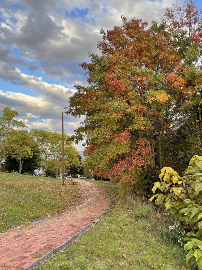 Take a walk down the brick path at Gospel Hill and see  the amazing color within the park. Theres so much seasonal beauty to be seen along with what can be seen year round!