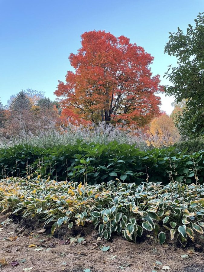 An amazing scene at Mount Assisi Gardens! Beautiful fall colors add to the magnificent scene the gardens have to offer.  