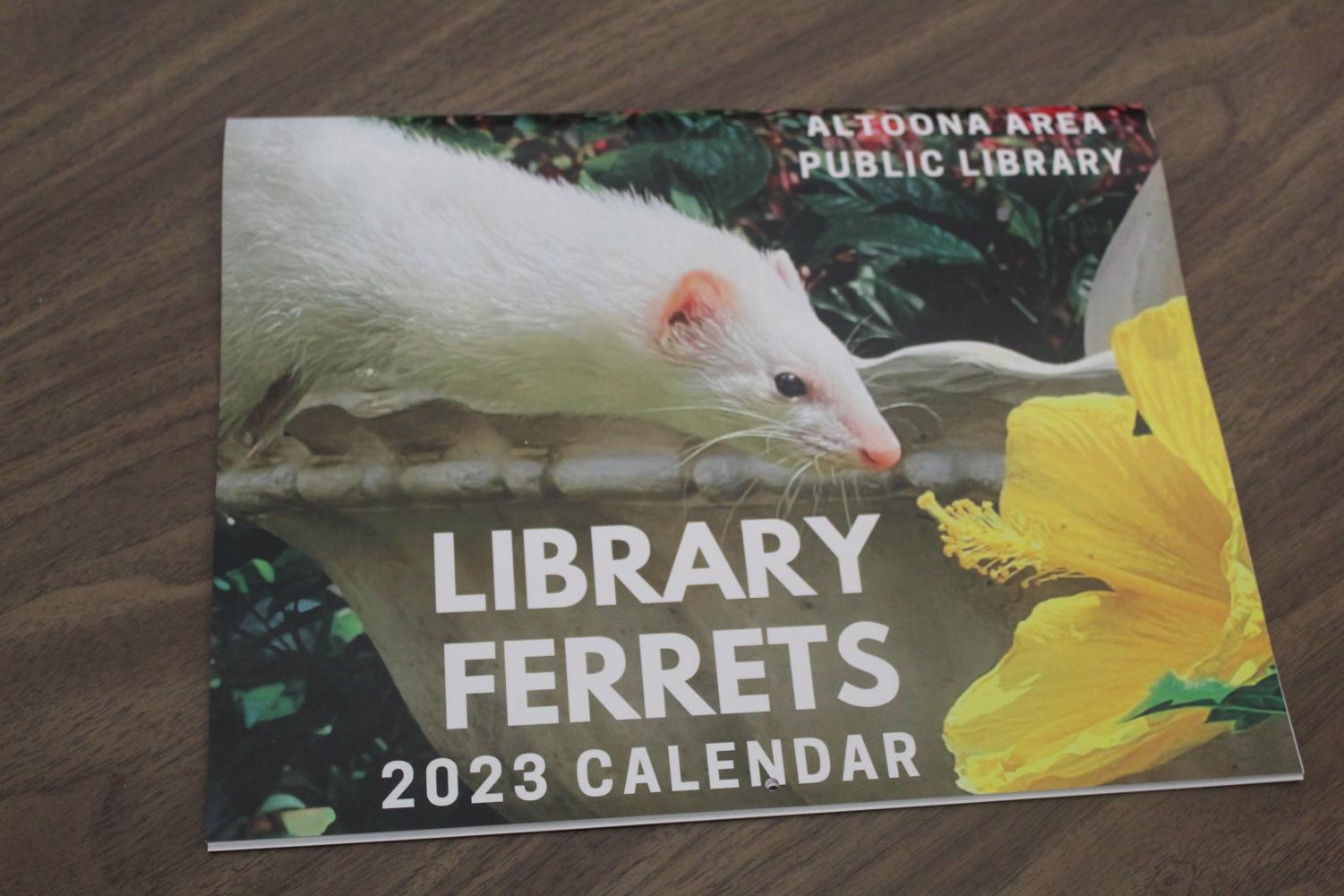Look out!  Ferret calendars for 2023 are available for purchase in the public library youth room. They cost $10 and there is a limited supply.