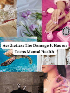Absurd aesthetics! Aesthetics are getting out of hand. Many people were saying how the names of some aesthetics made absolutely no sense. Eighth grader Livi Adams said, “ I think that Barbiecore and Fairycore are stupid and so unnecessary.”