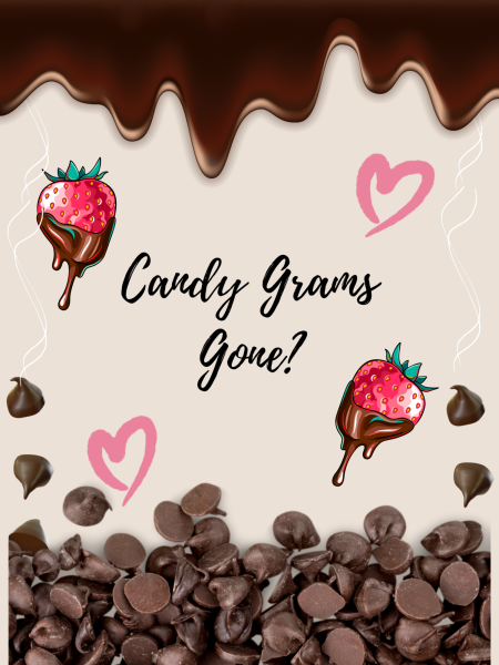 Chocolates galore! The smell of sweetness and love in the air this Valentines Day is glorious. Candy grams were so popular last year, and they have vanished just days away from February 14! The chocolate smell is not as strong from last year.