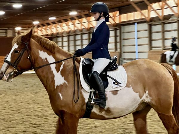 Equestrian aspirations! This is just the start of Scotts career! In the future, with hard work and determination, she had planned to accomplish more than anyone could imagine. According to Scott,  I want to make the leagues too one day, like the Olympics.