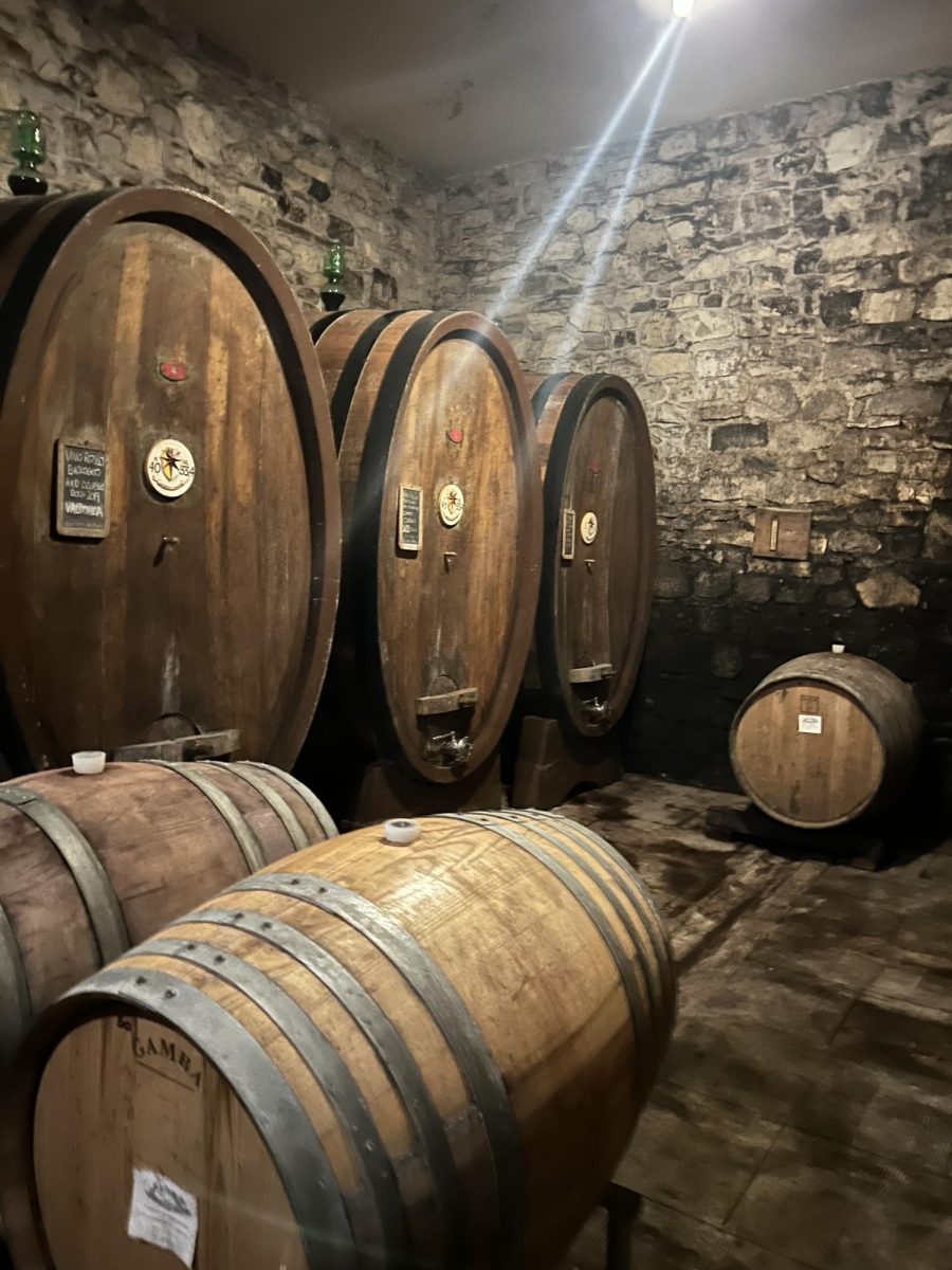 Custom and cool. Shown here are barrels that are centuries old, holding very aged wine. These were reused all the time to age new wine. "All our barrels are custom made" the winery tour guide says.