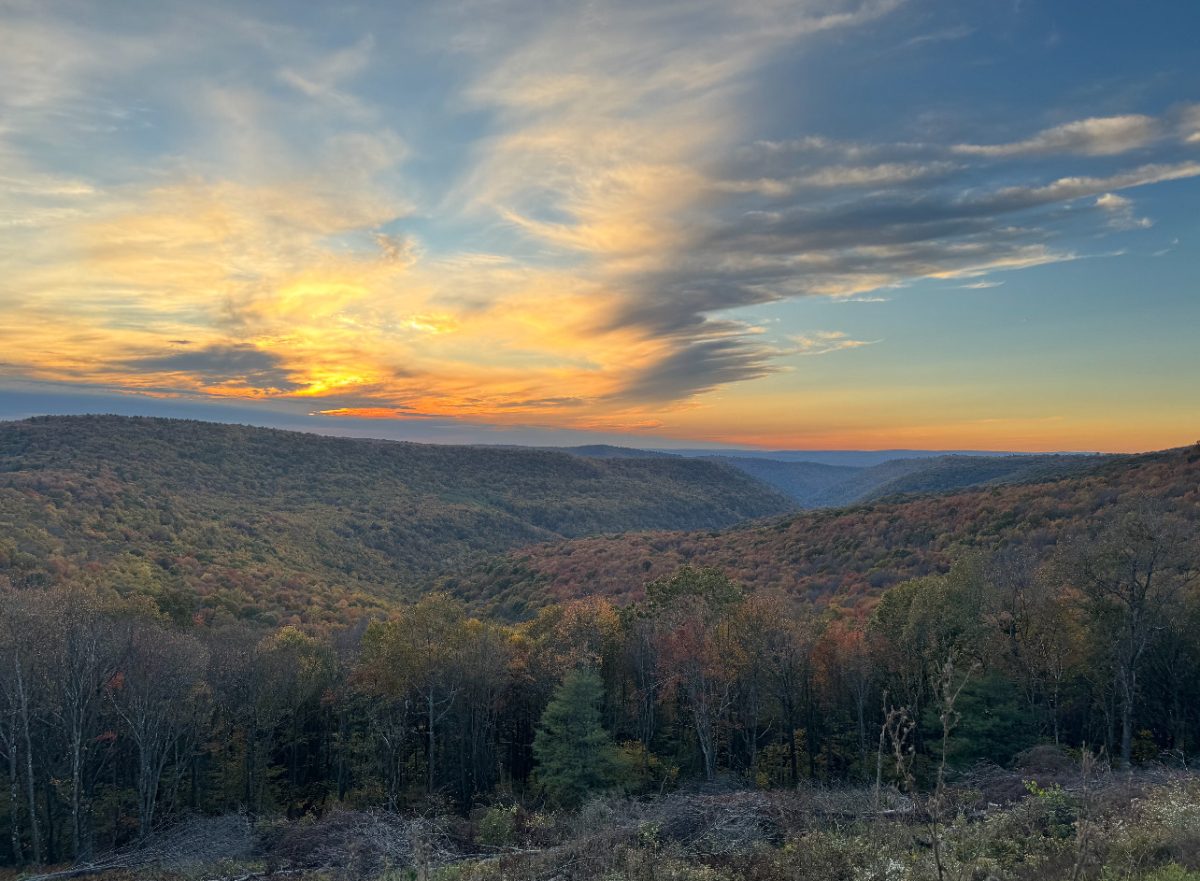 Beautiful! Eight grader Katie Beck takes a beautiful fall hike. This hike particularly in Ohiopyle is one to remember with many scenic views. "Fall hikes are always a beautiful way to get outside and have a good time," Beck said. 