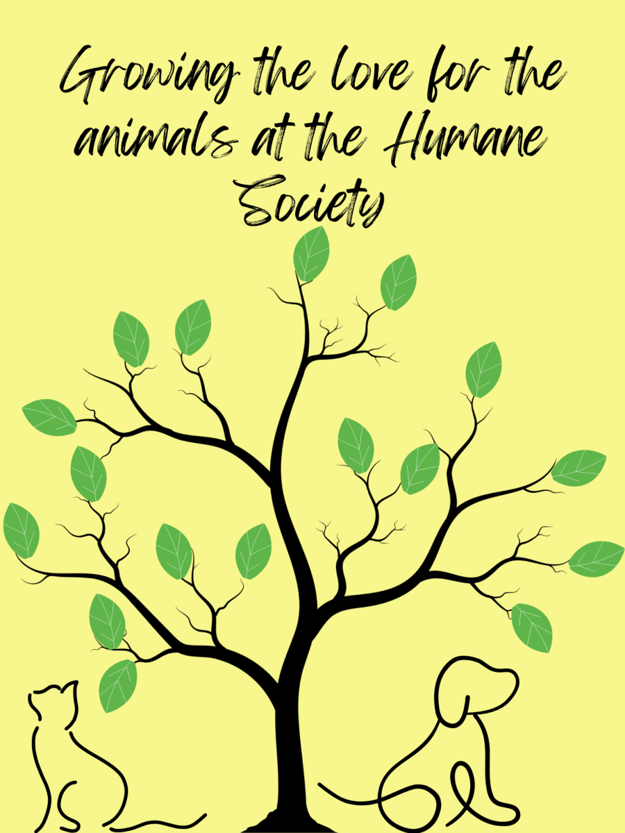 Pets' paradise. The CPHS announce that they're trying to raise money for a new shelter. They already got a grant of money, but they really need the community's help. The CPHS website stated that any and all help is appreciated. 