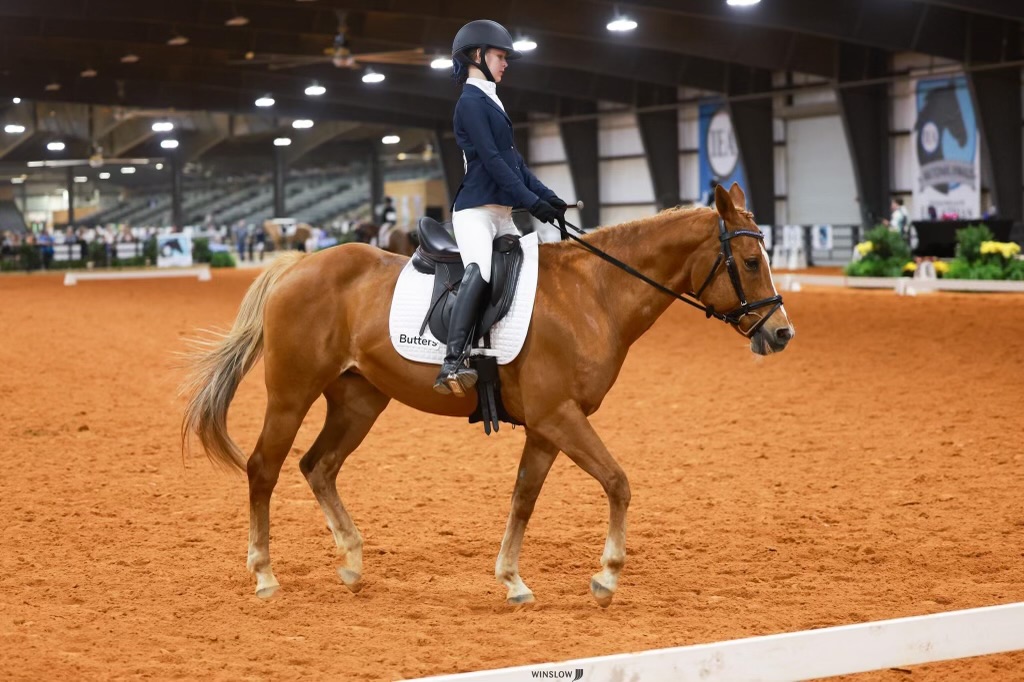 Time to shine! Scott makes it to the second round of nationals and gracefully trots around the arena. Scott said, "I felt great but nervous."

